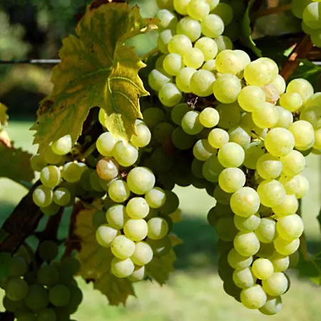 Keller 公寓 哈格瑙