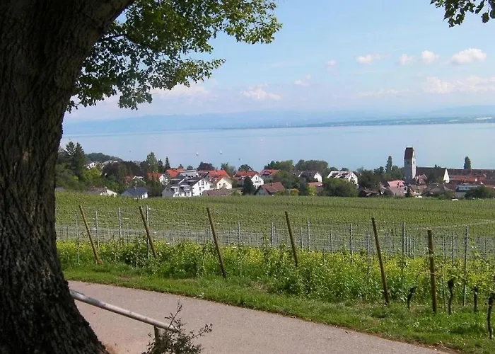Keller Appartement Hagnau am Bodensee