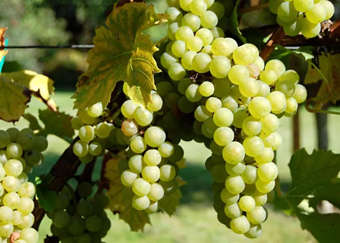 Keller Apartamento Hagnau